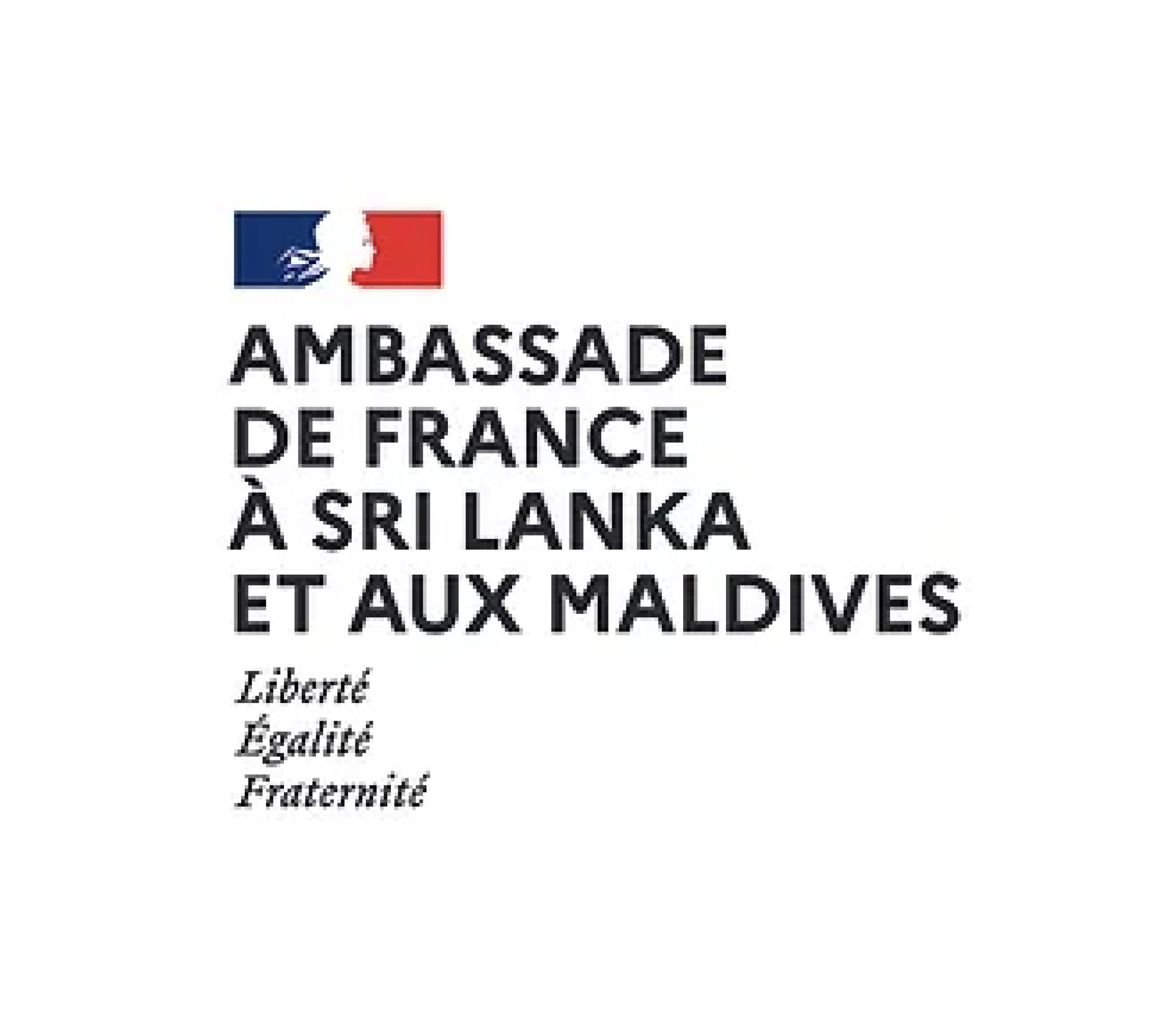 Screenshot 2023-09-19 at 23.53 4