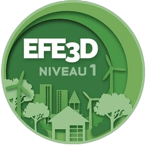 Logo EFE3D