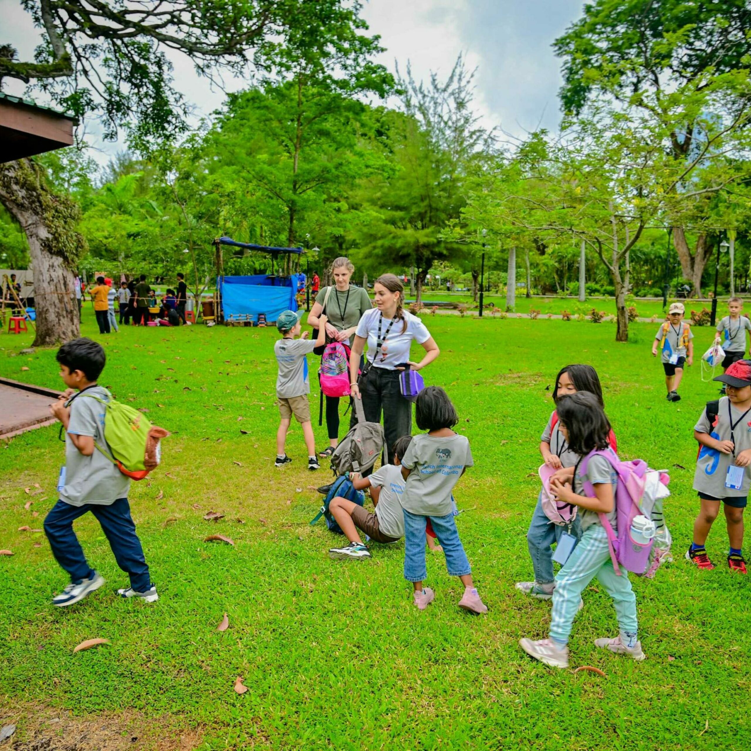 Z63 5332 scaled